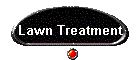 Lawn Treatment